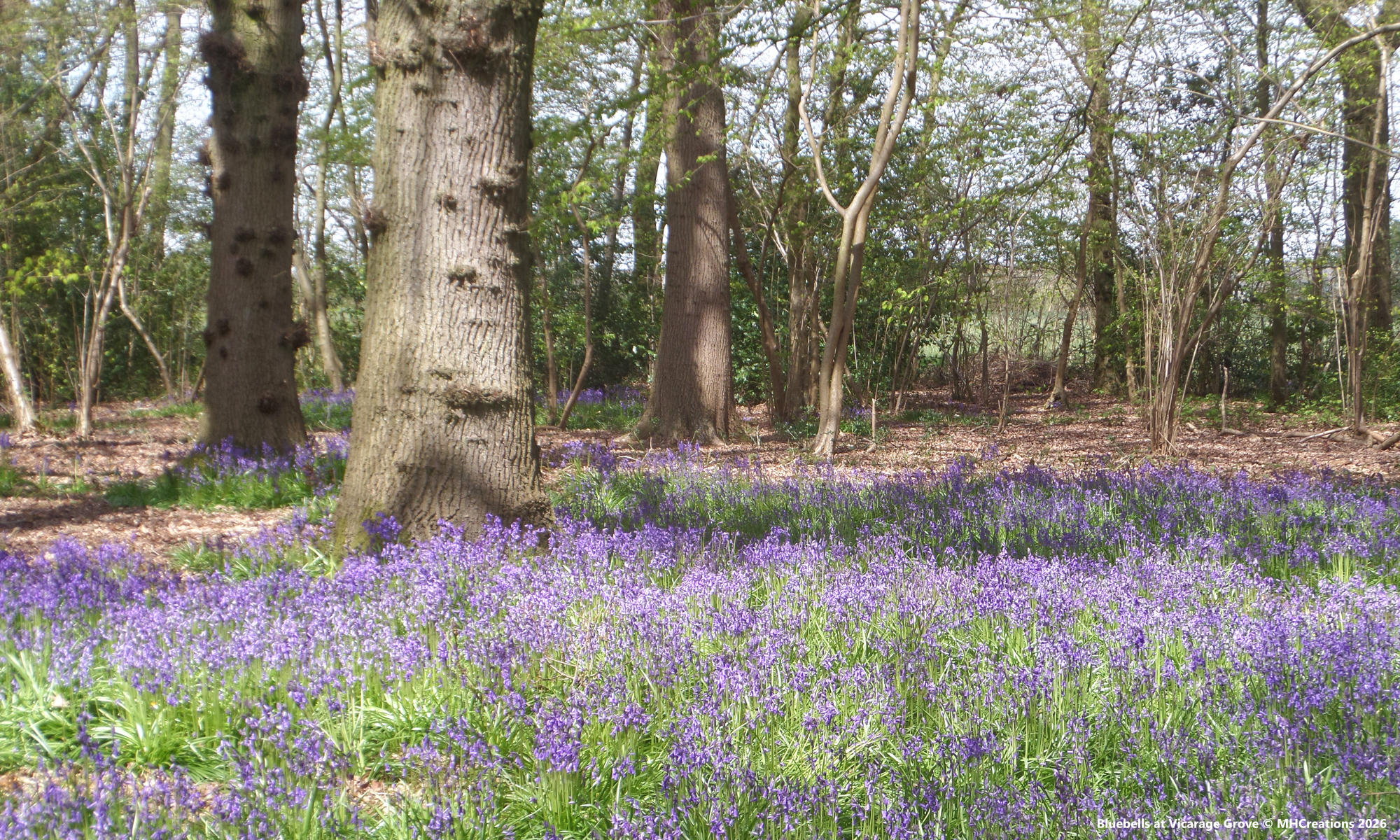 And independent small businesses