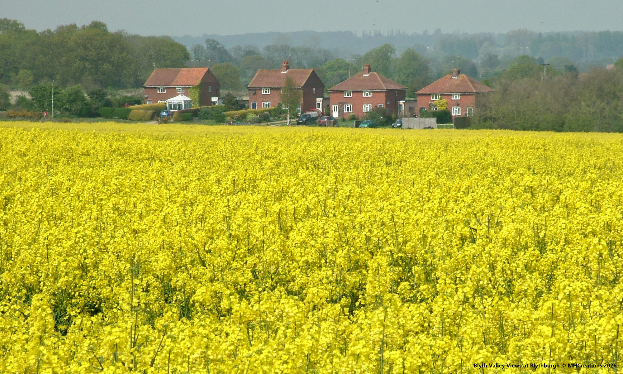 Focusing on development and bespoke work