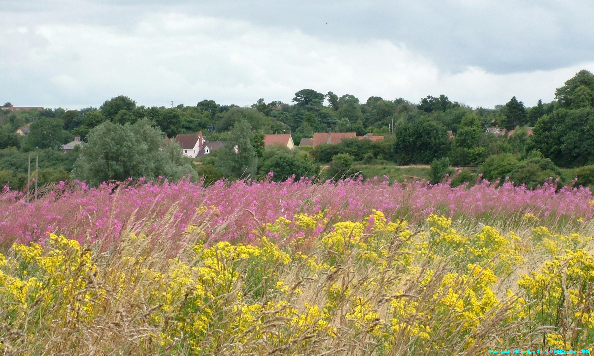 Especially for third sector